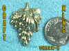 CHARM-A.jpg (26174 bytes)