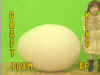 FOAM-AF.jpg (62735 bytes)