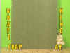 FOAM-AY.jpg (78750 bytes)