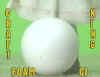 FOAM-CI.jpg (53021 bytes)