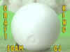 FOAM-CJ.jpg (53193 bytes)
