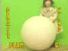 FOAM-G.jpg (59942 bytes)
