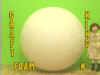 FOAM-K.jpg (58077 bytes)