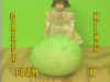 FOAM-X.jpg (61918 bytes)
