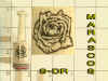 STAMP-DR.jpg (151945 bytes)