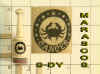 STAMP-DY.jpg (158469 bytes)